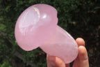 Polished Rose Quartz Mushroom Carvings x 2 From Madagascar - Toprock Gemstones and Minerals 