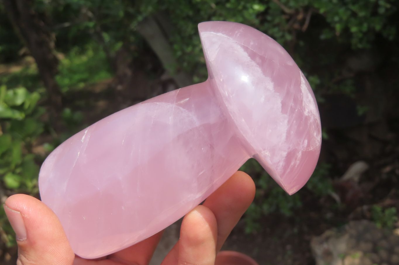 Polished Rose Quartz Mushroom Carvings x 2 From Madagascar - Toprock Gemstones and Minerals 