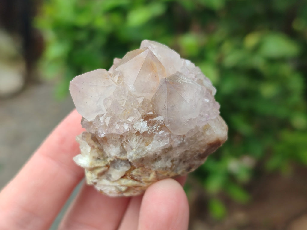 Natural Amethyst Spirit Quartz Clusters x 16 From Boekenhouthoek, South Africa - Toprock Gemstones and Minerals 