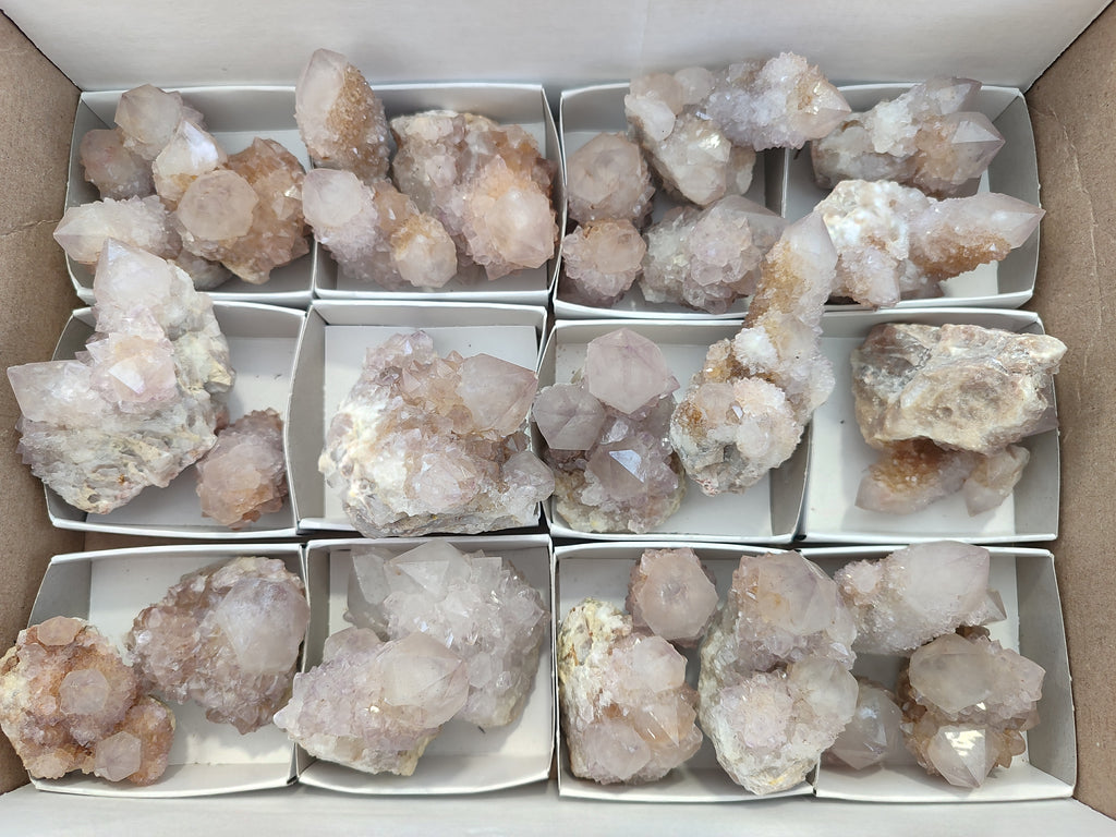 Natural Amethyst Spirit Quartz Clusters x 16 From Boekenhouthoek, South Africa - Toprock Gemstones and Minerals 