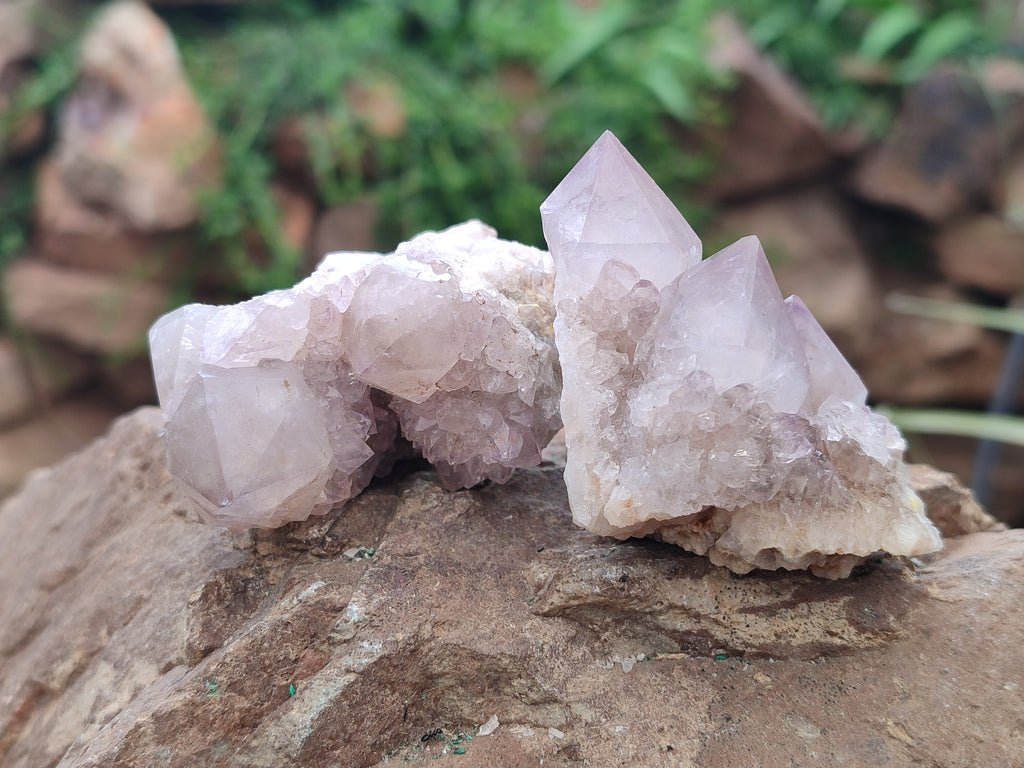 Natural Amethyst Spirit Quartz Clusters x 16 From Boekenhouthoek, South Africa - Toprock Gemstones and Minerals 
