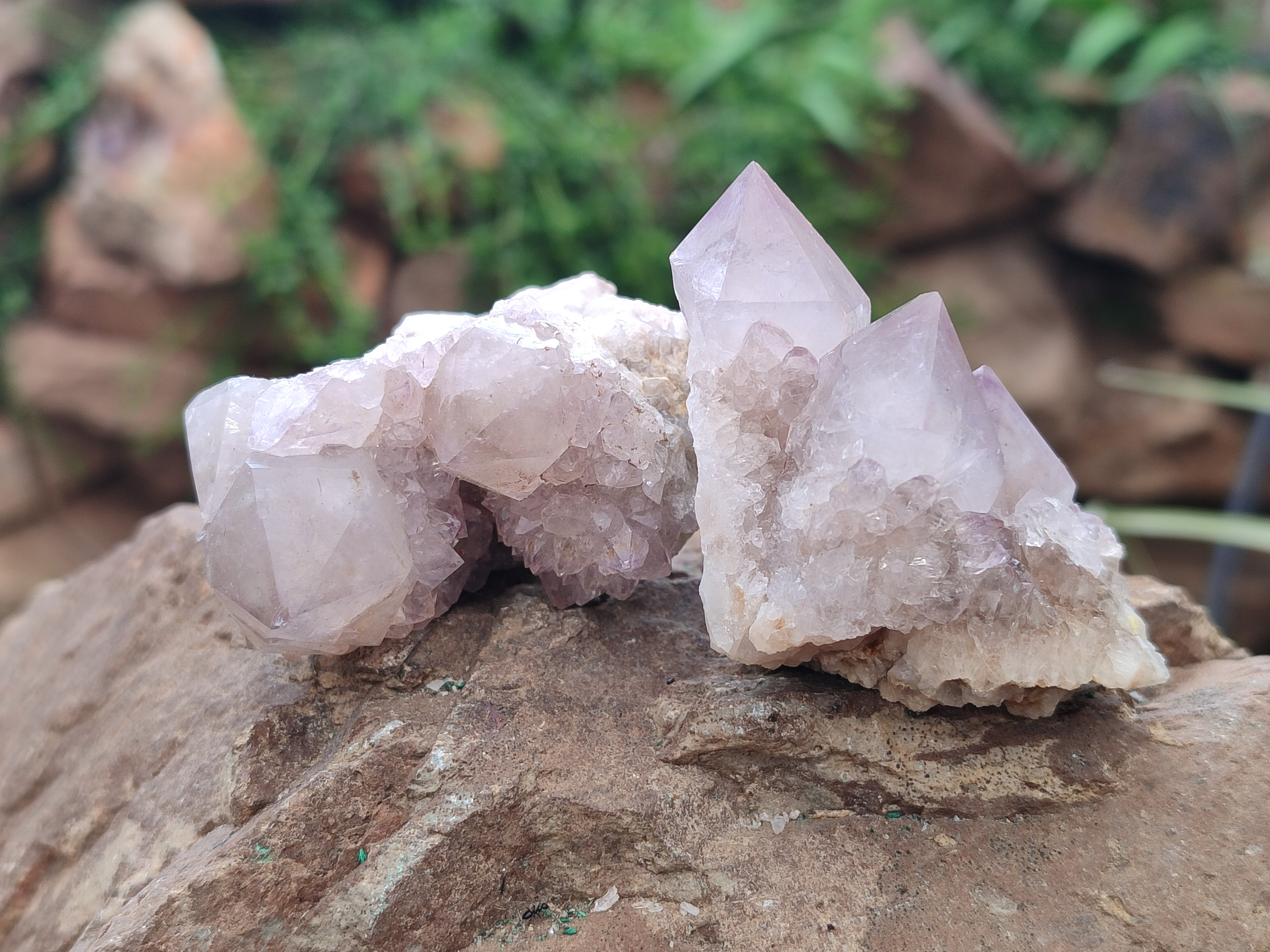 Natural Amethyst Spirit Quartz Clusters x 16 From Boekenhouthoek, South Africa - Toprock Gemstones and Minerals 