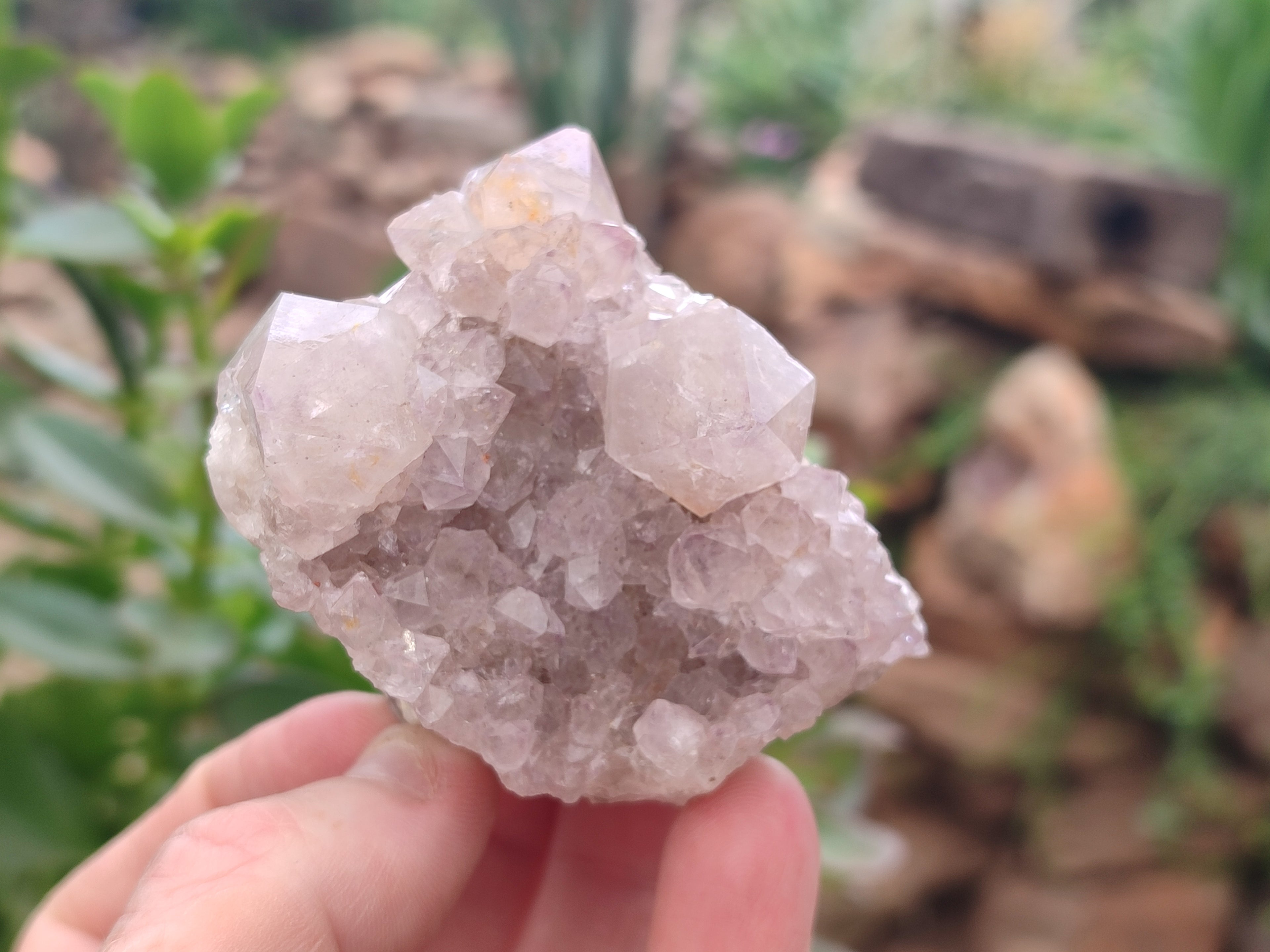 Natural Amethyst Spirit Quartz Clusters x 16 From Boekenhouthoek, South Africa - Toprock Gemstones and Minerals 