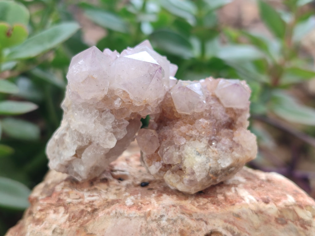 Natural Amethyst Spirit Quartz Clusters x 16 From Boekenhouthoek, South Africa - Toprock Gemstones and Minerals 