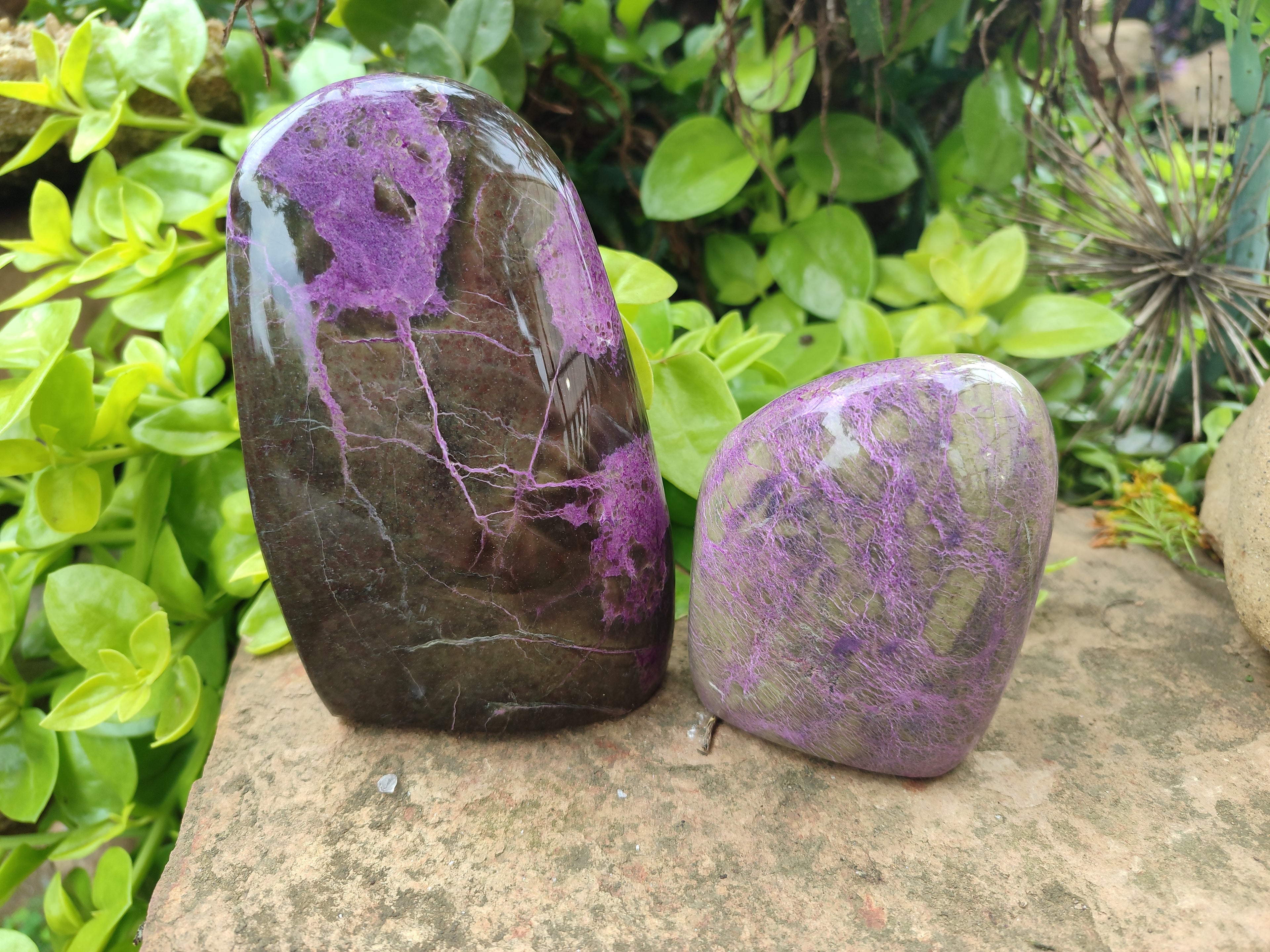 Polished Stichtite and Serpentine Standing Free Forms x 2 From Barberton, South Africa - Toprock Gemstones and Minerals 