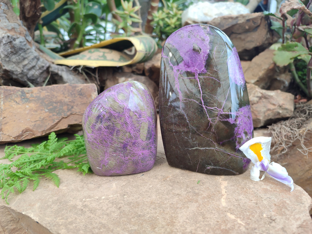 Polished Stichtite and Serpentine Standing Free Forms x 2 From Barberton, South Africa - Toprock Gemstones and Minerals 