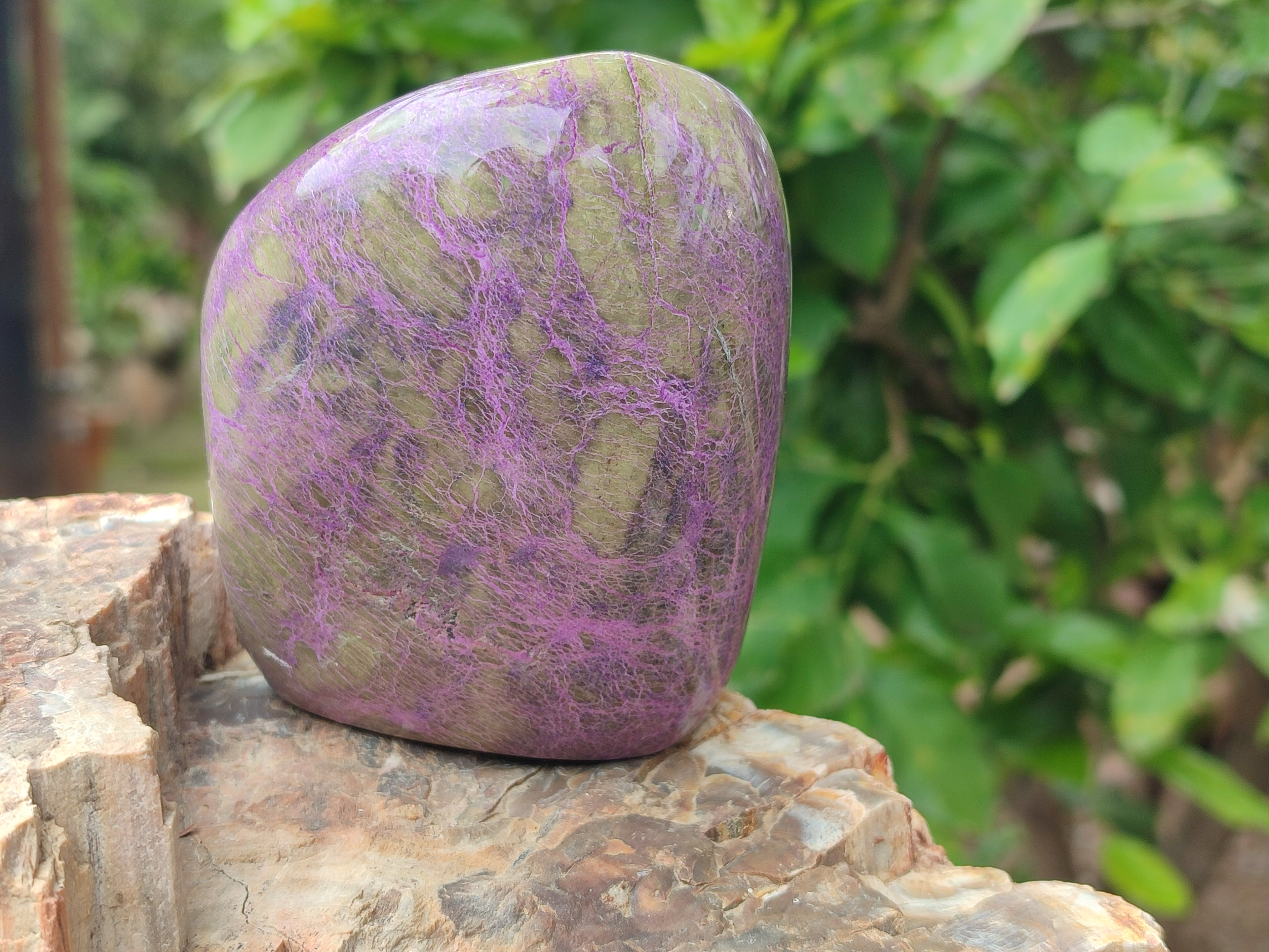 Polished Stichtite and Serpentine Standing Free Forms x 2 From Barberton, South Africa - Toprock Gemstones and Minerals 