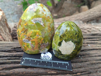 Polished Green Opal Standing Free Forms x 6 From Antsirabe, Madagascar - Toprock Gemstones and Minerals 