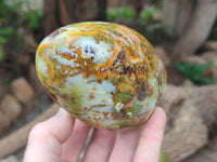 Polished Green Opal Standing Free Forms x 6 From Antsirabe, Madagascar - Toprock Gemstones and Minerals 