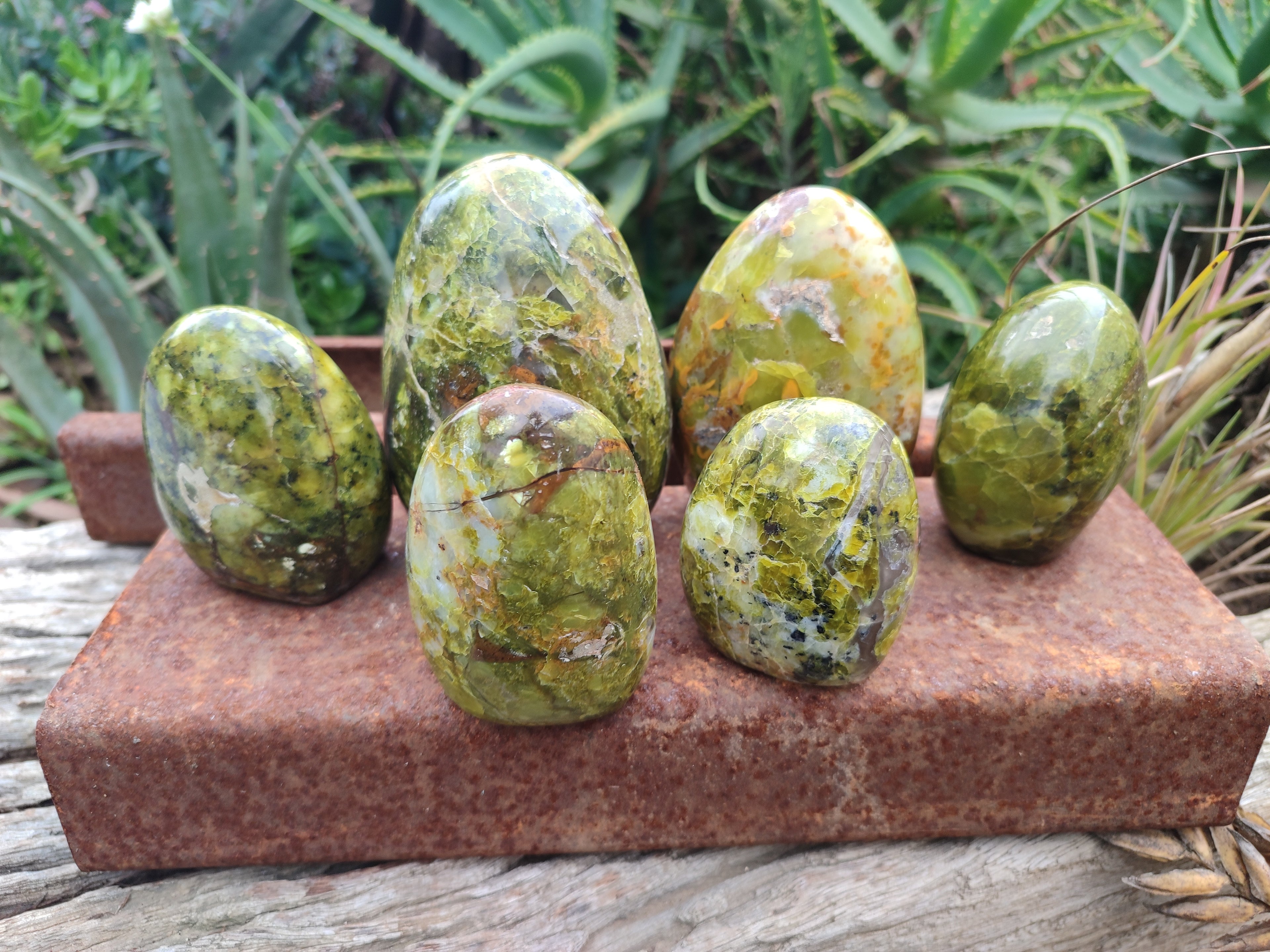 Polished Green Opal Standing Free Forms x 6 From Antsirabe, Madagascar - Toprock Gemstones and Minerals 