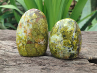 Polished Green Opal Standing Free Forms x 6 From Antsirabe, Madagascar - Toprock Gemstones and Minerals 