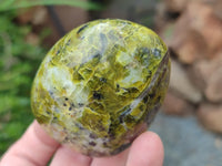 Polished Green Opal Standing Free Forms x 6 From Antsirabe, Madagascar - Toprock Gemstones and Minerals 