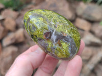 Polished Green Opal Standing Free Forms x 6 From Antsirabe, Madagascar - Toprock Gemstones and Minerals 