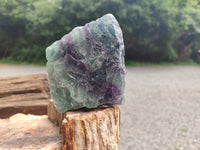 Natural Watermelon Fluorite Cobbed Specimens x 4 From Uis, Namibia