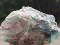 Natural Watermelon Fluorite Cobbed Specimens x 4 From Uis, Namibia
