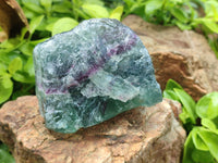 Natural Watermelon Fluorite Cobbed Specimens x 4 From Uis, Namibia