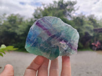 Natural Watermelon Fluorite Cobbed Specimens x 4 From Uis, Namibia