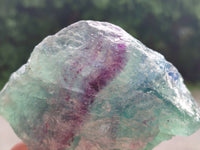 Natural Watermelon Fluorite Cobbed Specimens x 4 From Uis, Namibia