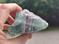 Natural Watermelon Fluorite Cobbed Specimens x 4 From Uis, Namibia