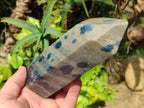 Polished Blue Spotted Spinel Quartz Points x 4 From Madagascar - Toprock Gemstones and Minerals 