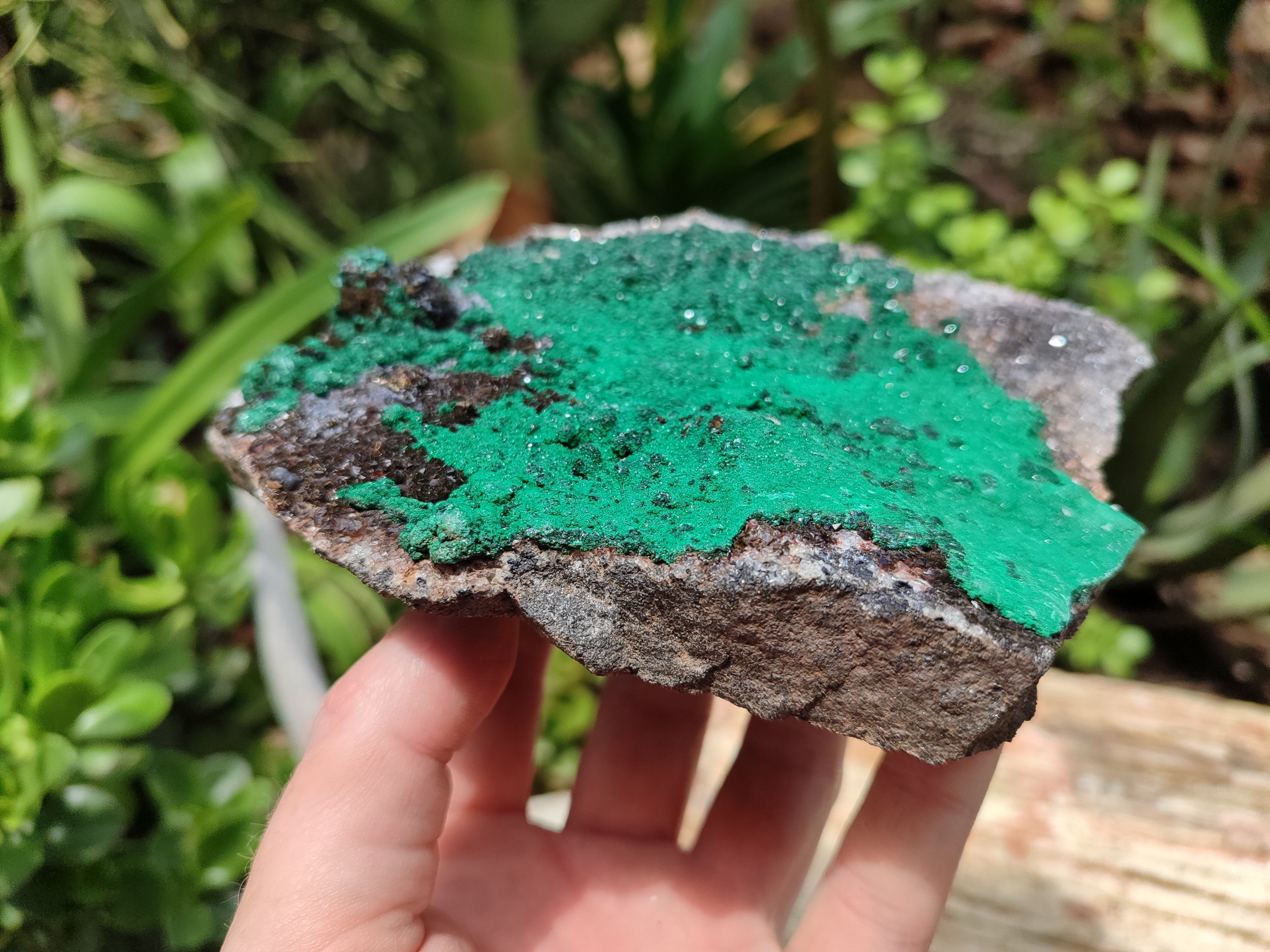 Natural Ball Malachite On Quartz Matrix Specimens x 2 From Kambove, Congo - Toprock Gemstones and Minerals 