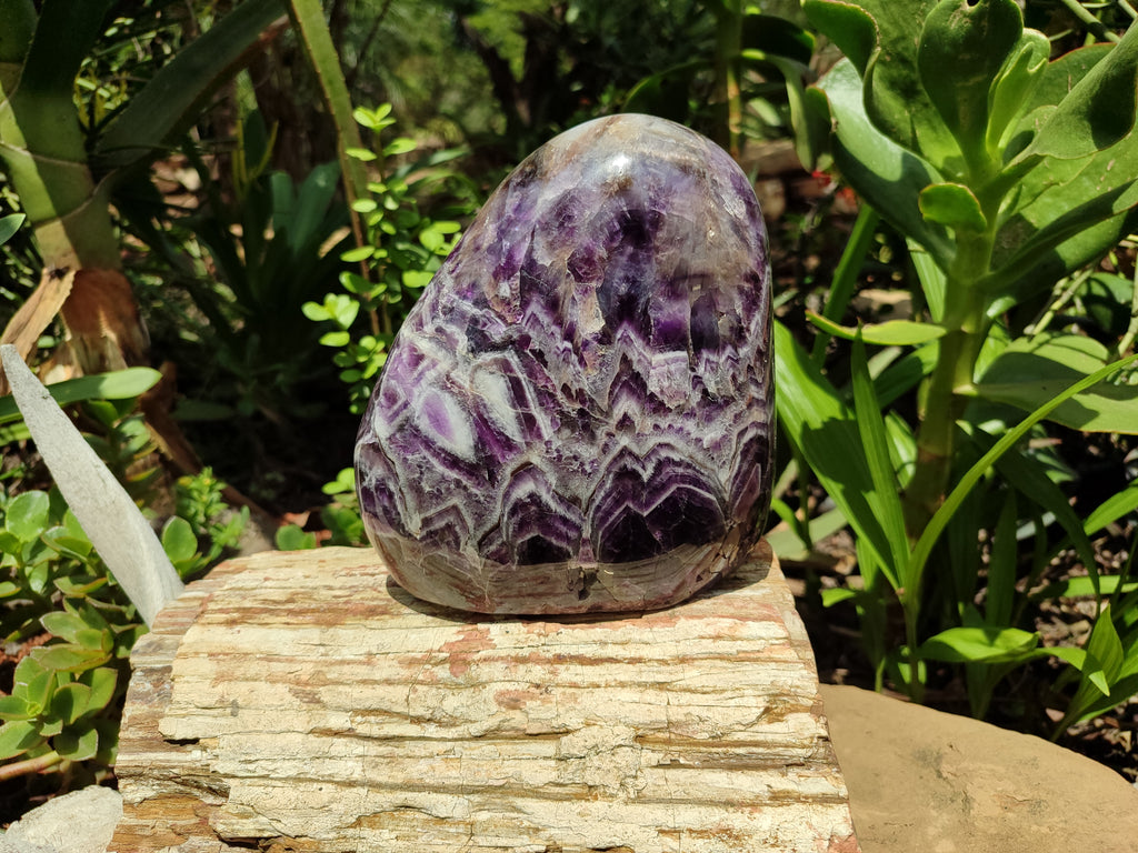 Polished XL Chevron Amethyst Standing Free Form x 1 from Zambia - Toprock Gemstones and Minerals 