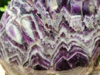 Polished XL Chevron Amethyst Standing Free Form x 1 from Zambia - Toprock Gemstones and Minerals 