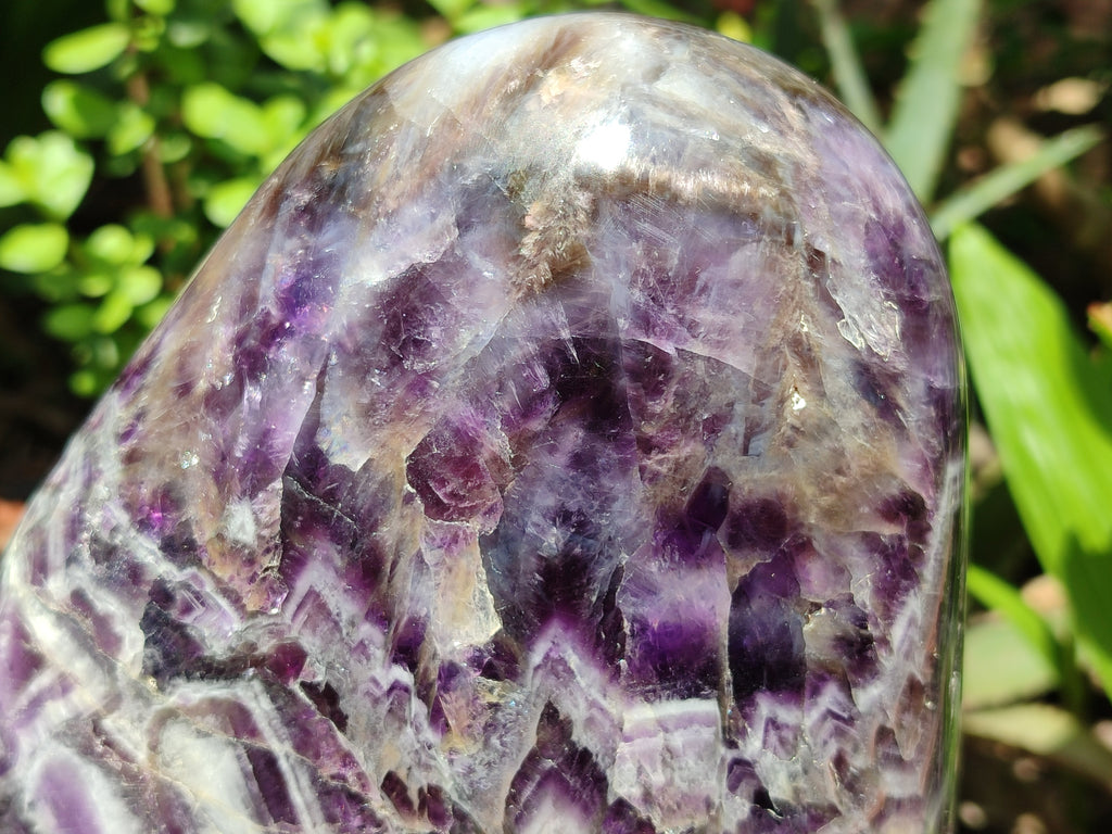 Polished XL Chevron Amethyst Standing Free Form x 1 from Zambia - Toprock Gemstones and Minerals 