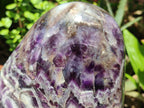 Polished XL Chevron Amethyst Standing Free Form x 1 from Zambia - Toprock Gemstones and Minerals 
