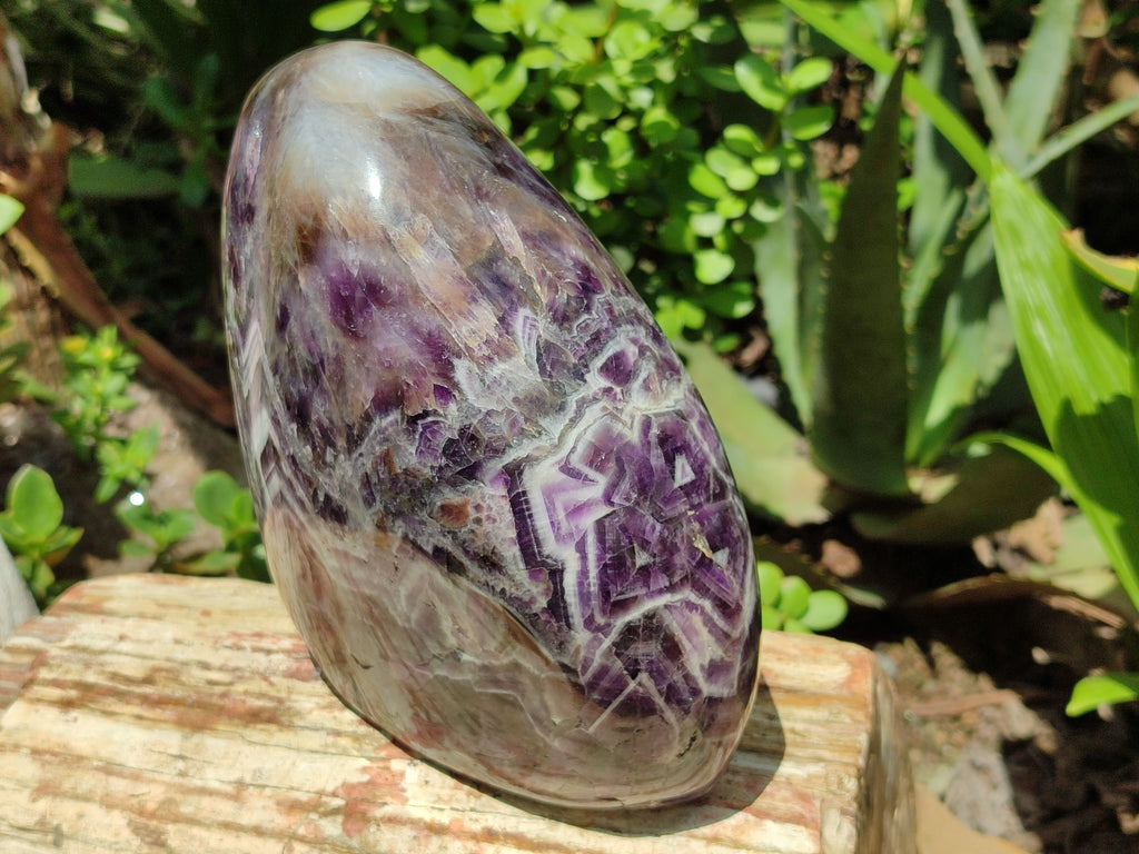 Polished XL Chevron Amethyst Standing Free Form x 1 from Zambia - Toprock Gemstones and Minerals 