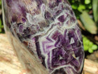 Polished XL Chevron Amethyst Standing Free Form x 1 from Zambia - Toprock Gemstones and Minerals 
