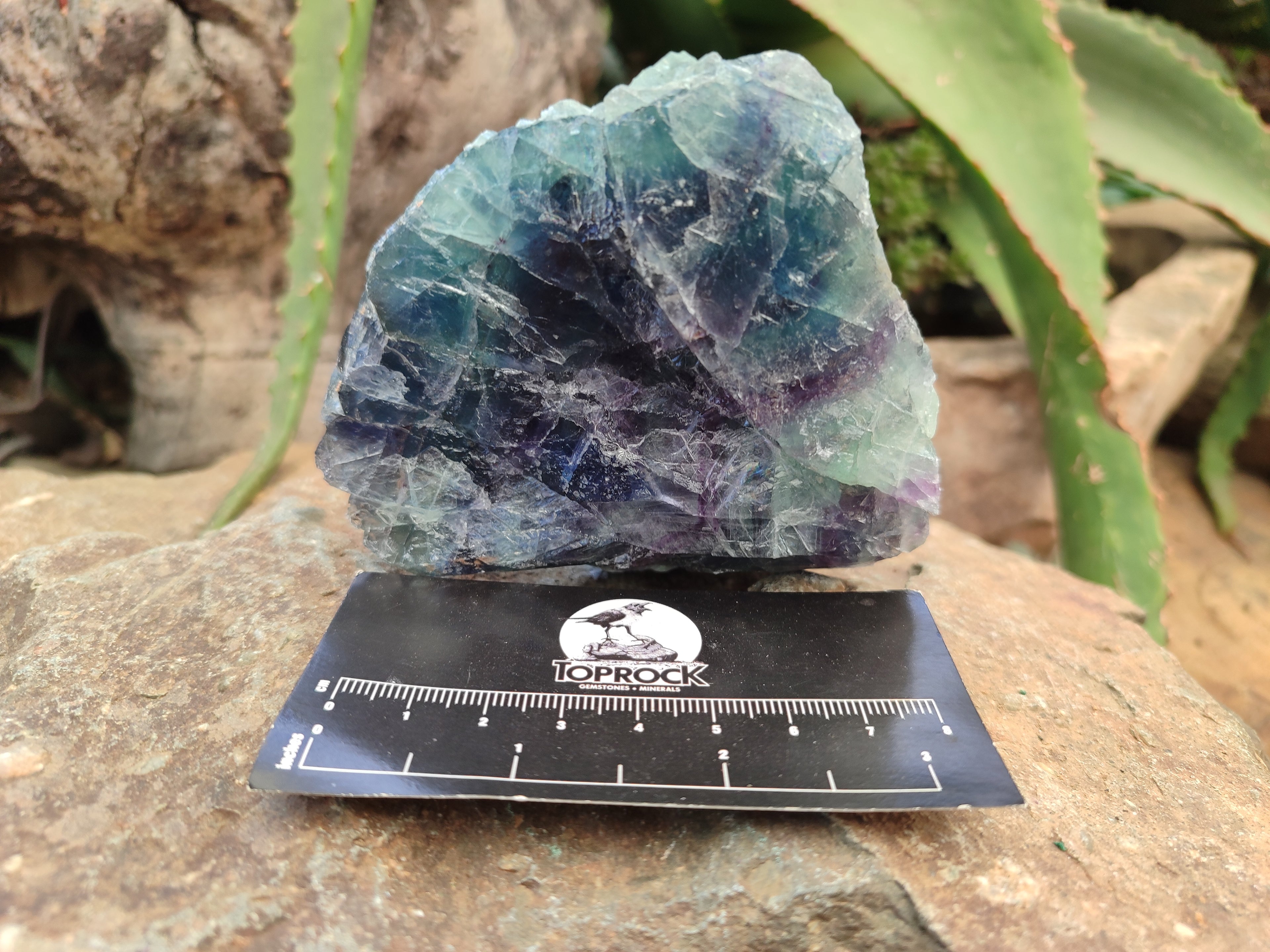 Natural Watermelon Fluorite Cobbed Specimens x 4 From Uis, Namibia - Toprock Gemstones and Minerals 