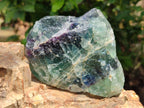 Natural Watermelon Fluorite Cobbed Specimens x 4 From Uis, Namibia - Toprock Gemstones and Minerals 