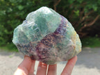 Natural Watermelon Fluorite Cobbed Specimens x 4 From Uis, Namibia - Toprock Gemstones and Minerals 