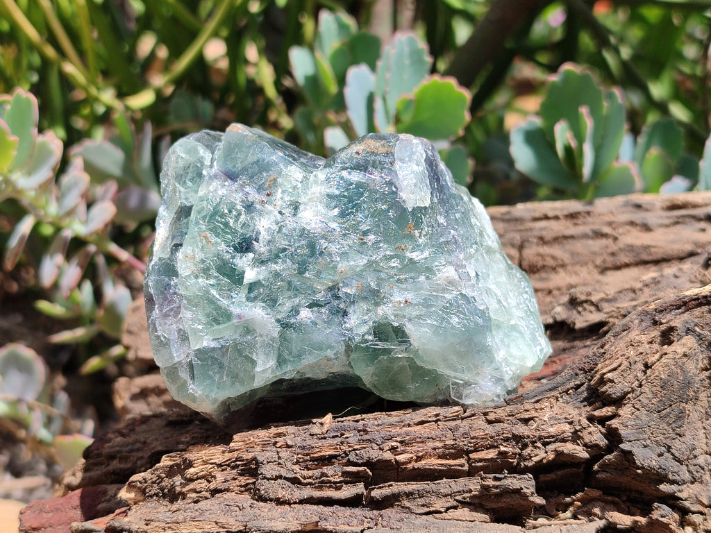 Natural Watermelon Fluorite Cobbed Specimens x 4 From Uis, Namibia - Toprock Gemstones and Minerals 