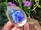 Polished Lapis Lazuli Specimen In Resin Egg - Sold Per Item - From Afghanistan - Toprock Gemstones and Minerals 