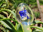 Polished Lapis Lazuli Specimen In Resin Egg - Sold Per Item - From Afghanistan - Toprock Gemstones and Minerals 