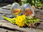 Polished Golden Tigers Eye In Resin Egg - Sold Per Item - From Northern Cape, South Africa - Toprock Gemstones and Minerals 