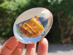 Polished Golden Tigers Eye In Resin Egg - Sold Per Item - From Northern Cape, South Africa - Toprock Gemstones and Minerals 