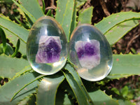Polished Chevron Amethyst In Resin Egg - Sold Per Item - From Zambia - Toprock Gemstones and Minerals 
