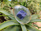 Polished Sodalite In Resin Egg - Sold Per Item - From Kunene River, Namibia - Toprock Gemstones and Minerals 