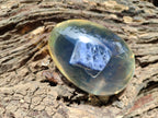Polished Sodalite In Resin Egg - Sold Per Item - From Kunene River, Namibia - Toprock Gemstones and Minerals 
