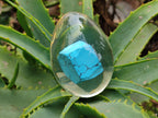 Polished Turquenite Howlite In Resin Egg - Sold Per Item - From China - Toprock Gemstones and Minerals 