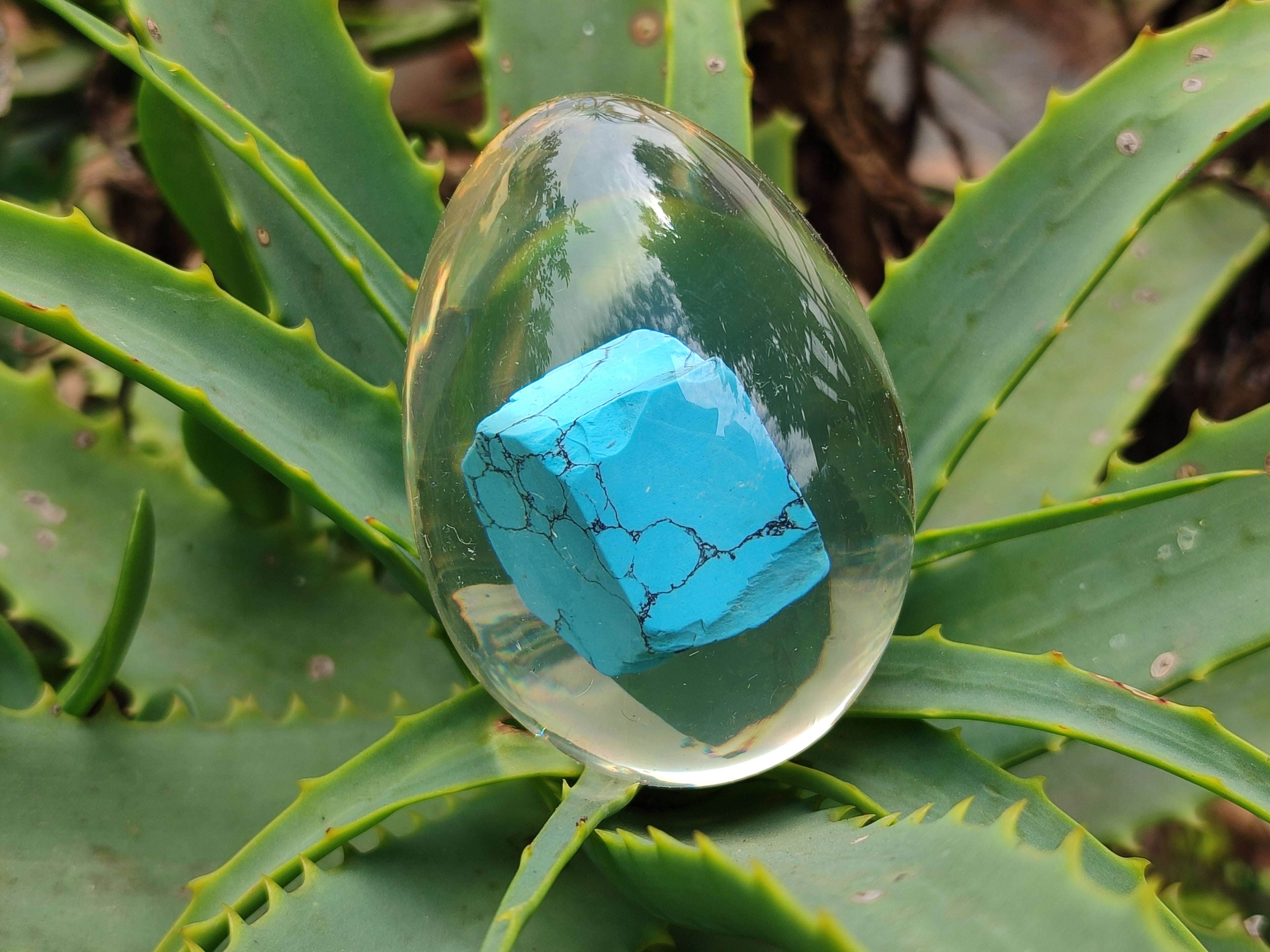 Polished Turquenite Howlite In Resin Egg - Sold Per Item - From China - Toprock Gemstones and Minerals 