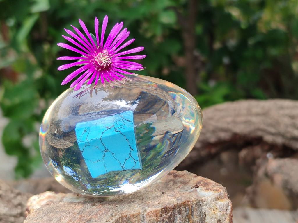 Polished Turquenite Howlite In Resin Egg - Sold Per Item - From China - Toprock Gemstones and Minerals 