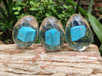 Polished Turquenite Howlite In Resin Egg - Sold Per Item - From China - Toprock Gemstones and Minerals 