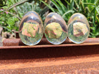 Polished Unakite In Resin Egg - Sold Per Item - From Messina, South Africa - Toprock Gemstones and Minerals 