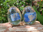 Polished Lapis Lazuli Specimen In Resin Egg - Sold Per Item - From Afghanistan - Toprock Gemstones and Minerals 