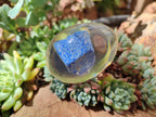 Polished Lapis Lazuli Specimen In Resin Egg - Sold Per Item - From Afghanistan - Toprock Gemstones and Minerals 