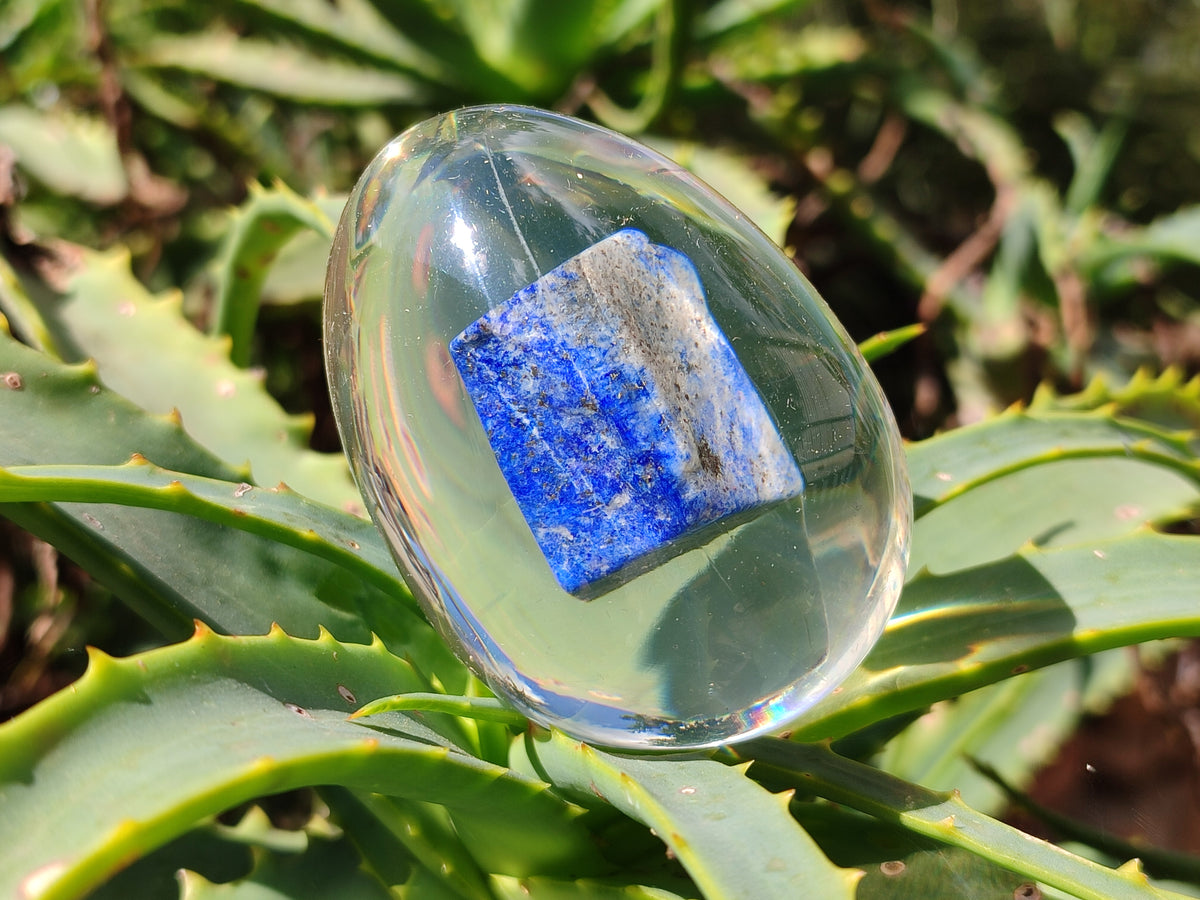 Polished Lapis Lazuli Specimen In Resin Egg - Sold Per Item - From Afghanistan - Toprock Gemstones and Minerals 